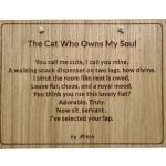 The Cat Who Owns My Soul