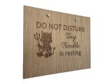 Tiny Trouble Is Resting - Image 3