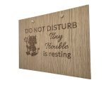 Tiny Trouble Is Resting - Image 2