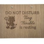 Tiny Trouble Is Resting