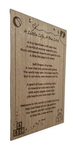 A Little life, A Big Love - Image 3