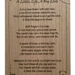 A Little life, A Big Love