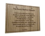 The Saucy Stallion Moment - Image 3