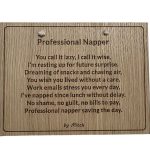 Professional Napper